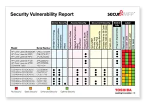 Vulnerability Report, MPS, MDS, Toshiba, Berks Copy Tech